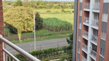 APTO BOCHALEMA EN AMBIENTE NATURAL