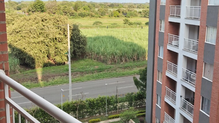 APTO BOCHALEMA EN AMBIENTE NATURAL